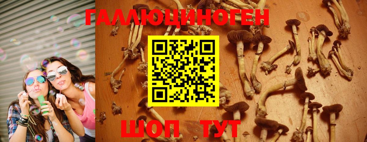 цены   Псилоцибиновые грибы GOLDEN TEACHER  Вход с VPN  Донской 